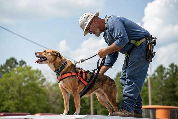 handler assisting dog illustration
