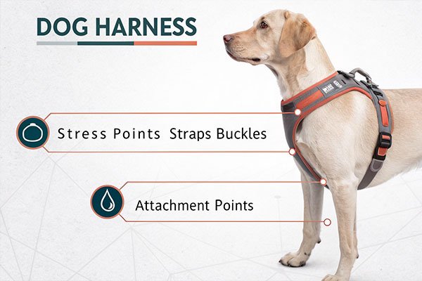labeled harness diagram with stress points