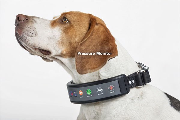 slip collar pressure monitor results