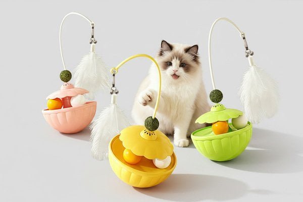 Cat toys and enrichment products