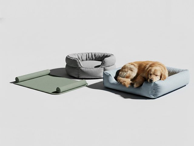 Premium pet beds and resting mats product showcase