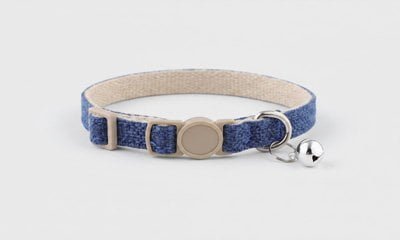 Breakaway safety collar