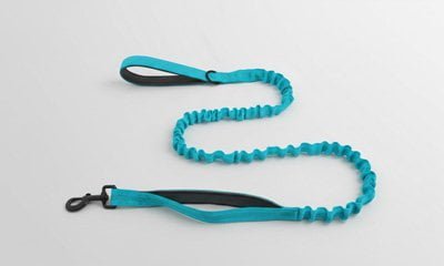 Bungee leash