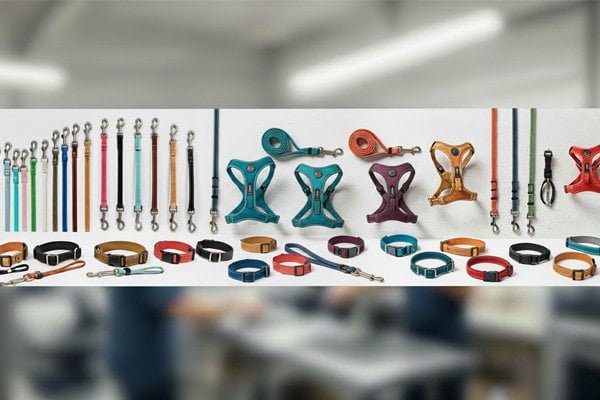 Pet collars, leashes and harnesses product showcase