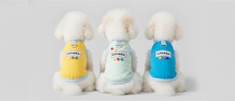Everyday pet clothing -- T-shirts, hoodies, sweaters