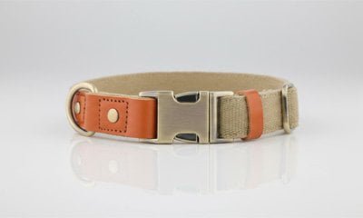 Flat buckle collar