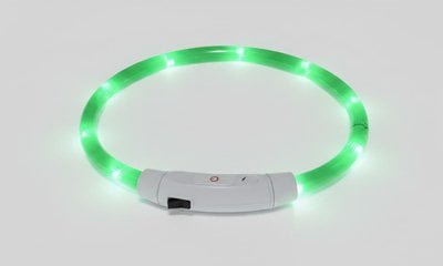 LED light-up collar