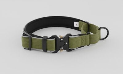 Martingale collar