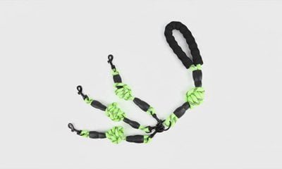 Multi-dog coupler leash