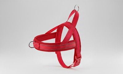 No-pull harness