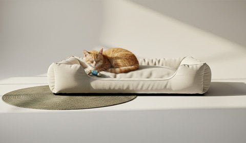 Orthopedic memory foam pet bed