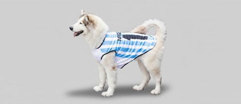 Performance and sport pet apparel