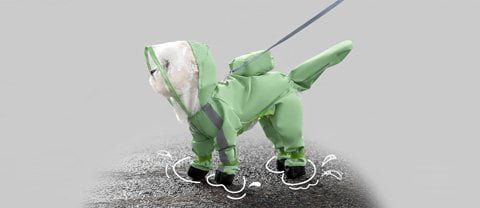 Pet raincoats and waterproof jackets for dogs