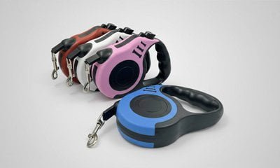 Retractable leash