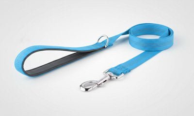 Standard flat leash