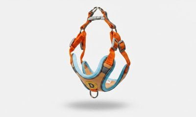 Step-in harness