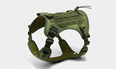 Tactical harness