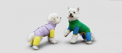 Winter coats and padded jackets for pets
