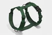 Dog harness