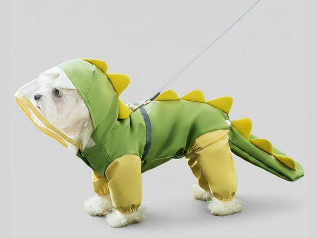Premium pet apparel collection -- OEM/ODM manufacturing