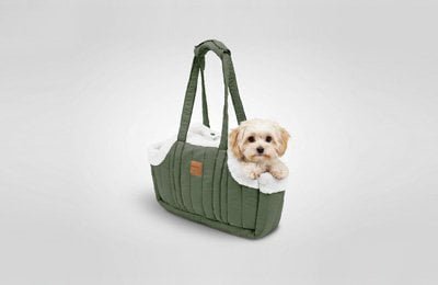 Pet tote carrier bag