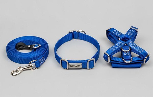 Pet travel gear including harnesses, collars and leashes