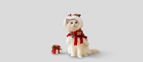 Pet costumes and occasion wear for holidays