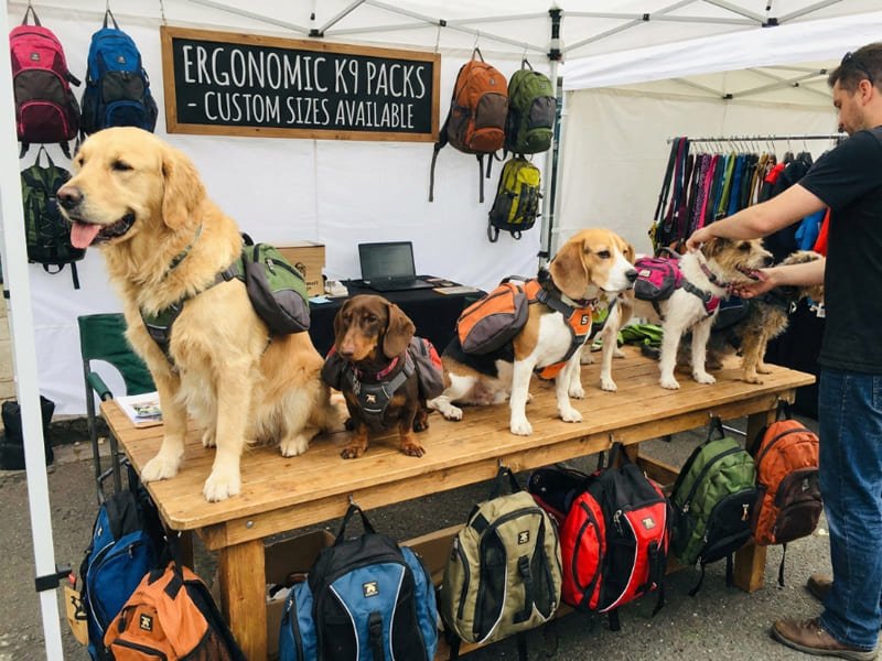 How Do You Custom-Size Ergonomic Dog Backpacks for Different Breeds Without Triggering Returns?