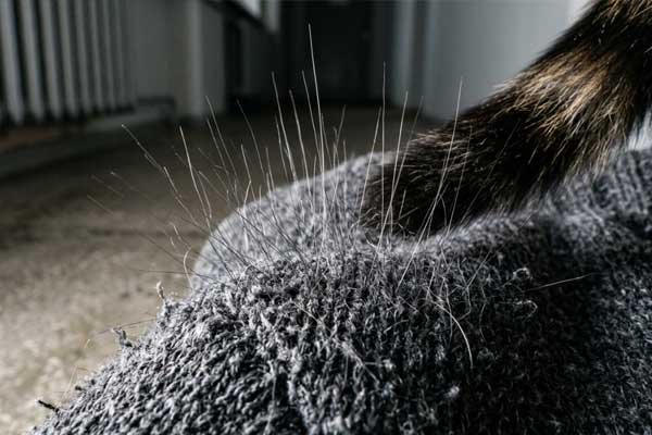 Static electricity problems