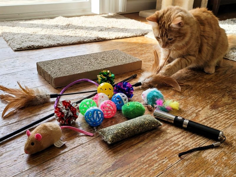 What materials are unsafe for cat toys?