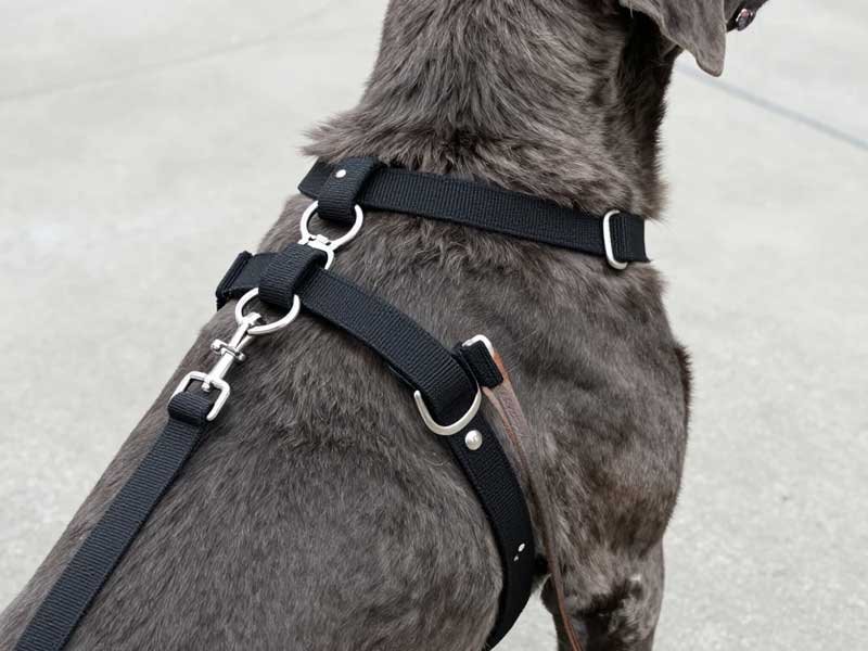 Supplier vetting framework for leash quality control sourcing checklist to avoid poor quality dog leashes